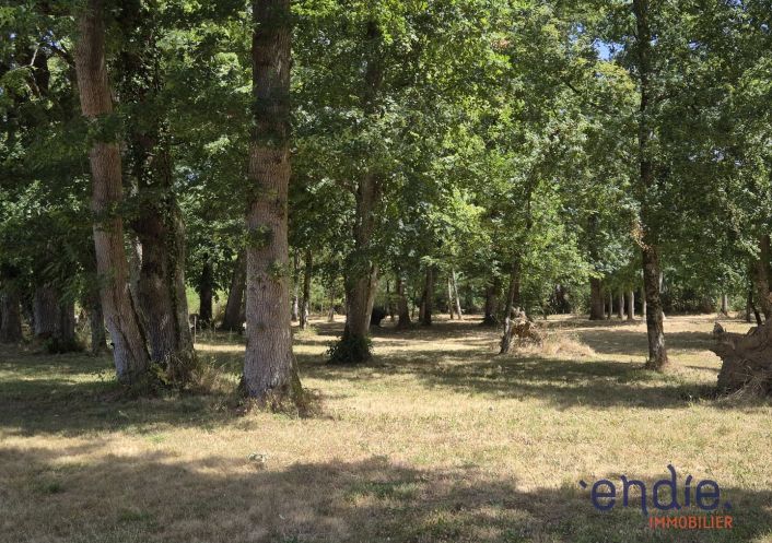 à vendre Château Lurcy Levis
