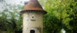 vente Château Chateau Sur Allier