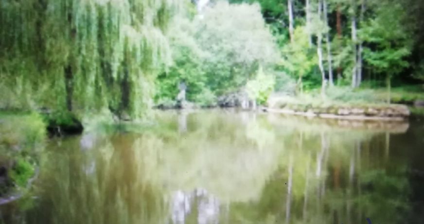 vente Château Chateau Sur Allier