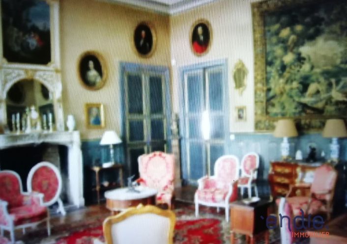 à vendre Château Chateau Sur Allier