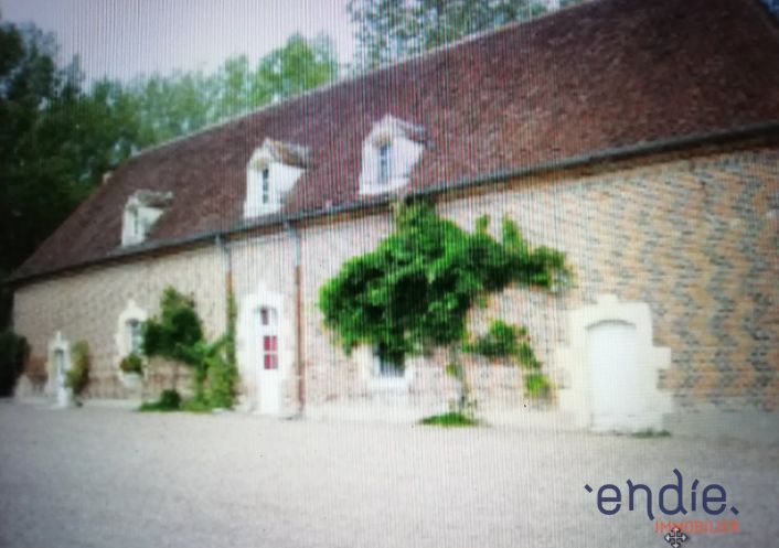 à vendre Château Chateau Sur Allier