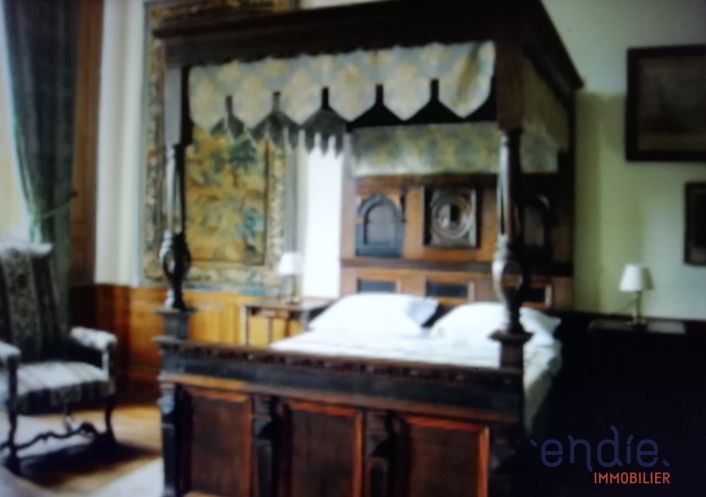 à vendre Château Chateau Sur Allier