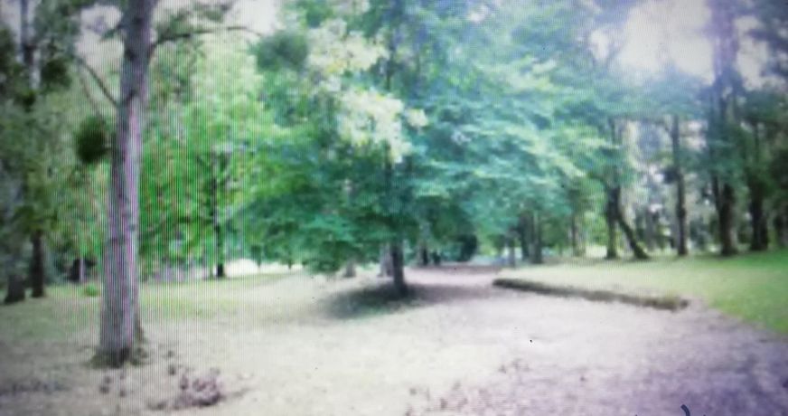 vente Château Chateau Sur Allier