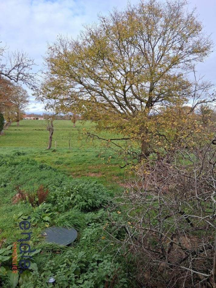 à vendre Maison Vesdun - Photo 12