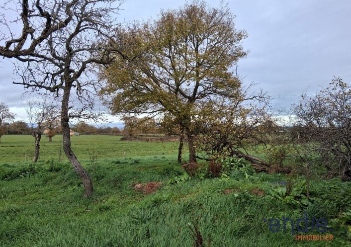 à vendre Maison Vesdun