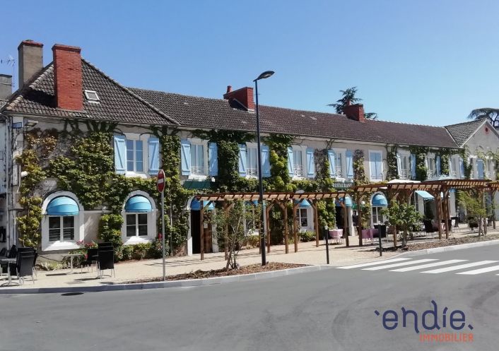 vente Maison bourgeoise Sancoins