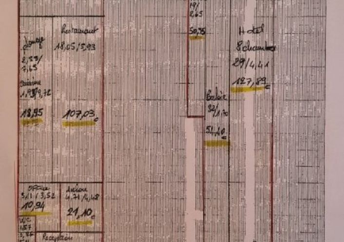 vente Maison bourgeoise Sancoins