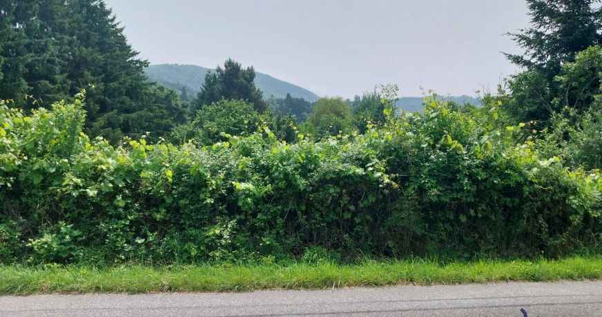 vente Terrain Thiers