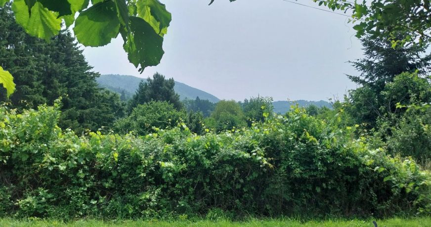 vente Terrain Thiers