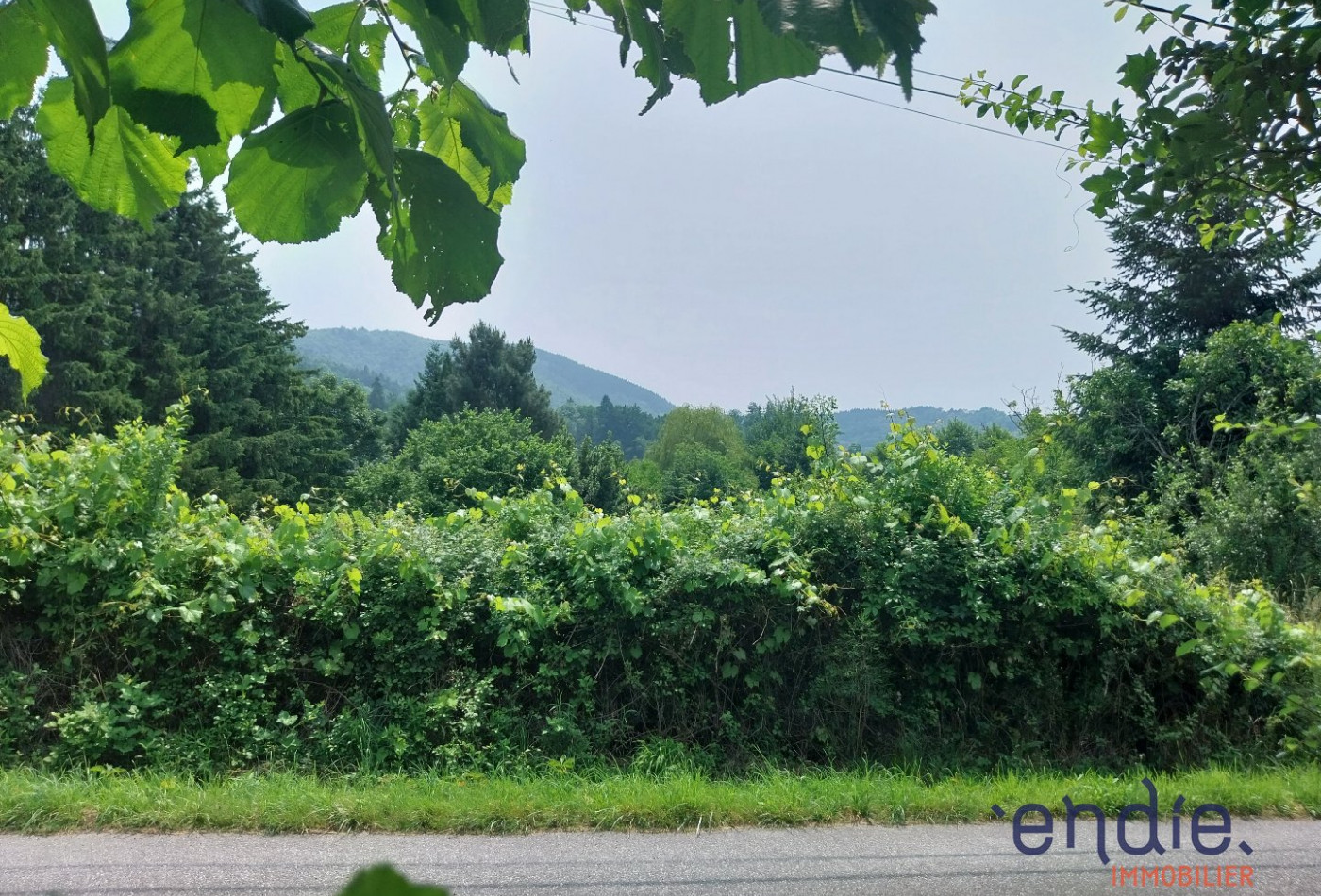 vente Terrain Thiers - Photo 2