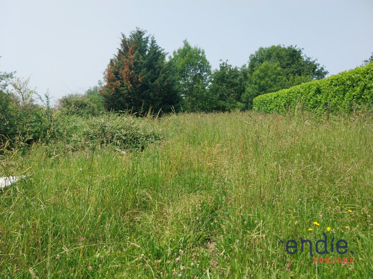 à vendre Terrain Thiers - Photo 3