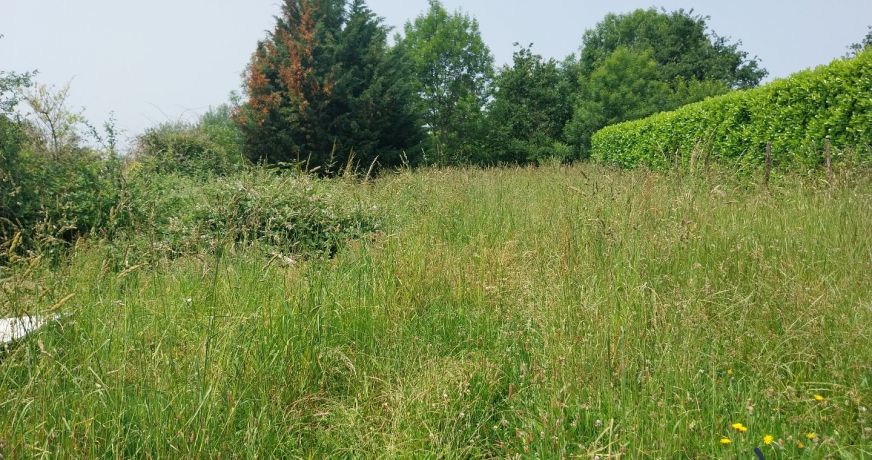 vente Terrain Thiers