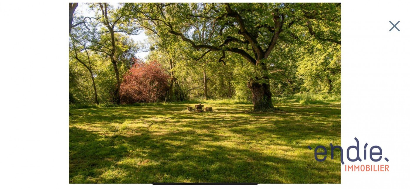 à vendre Maison de maître Mereau - Photo 14