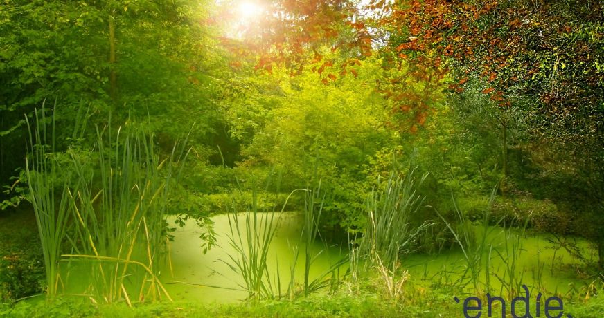 vente Maison de maître Mereau