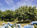 vente Maison Bubry