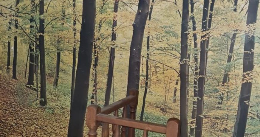 vente Maison Meaulne