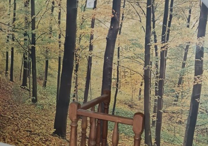 à vendre Maison Meaulne