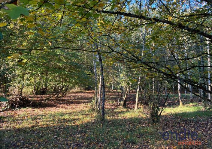 à vendre Maison de campagne Valigny