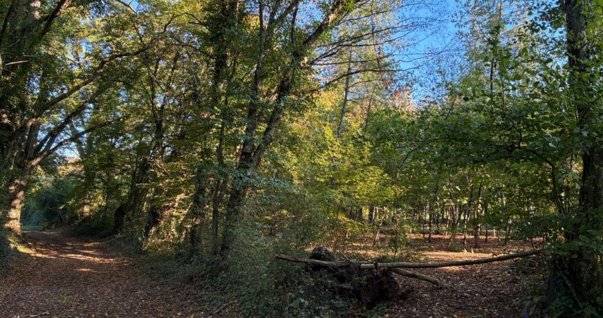 vente Maison de campagne Valigny