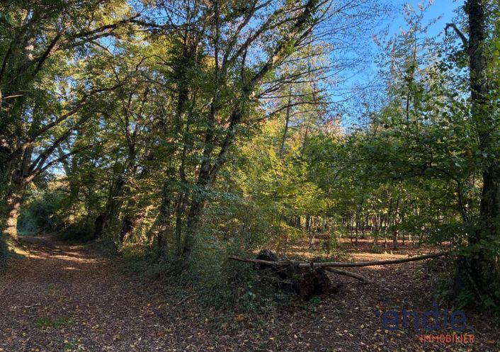 à vendre Maison de campagne Valigny