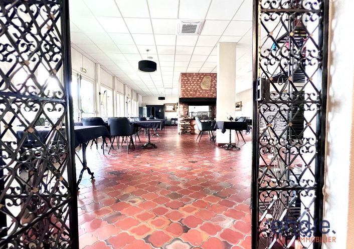 à vendre Locaux d'activité Nieuil L'espoir