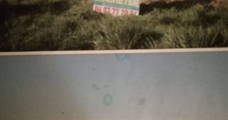 vente Terrain La Guerche Sur L'aubois