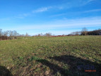 à vendre Terrain Poudenx