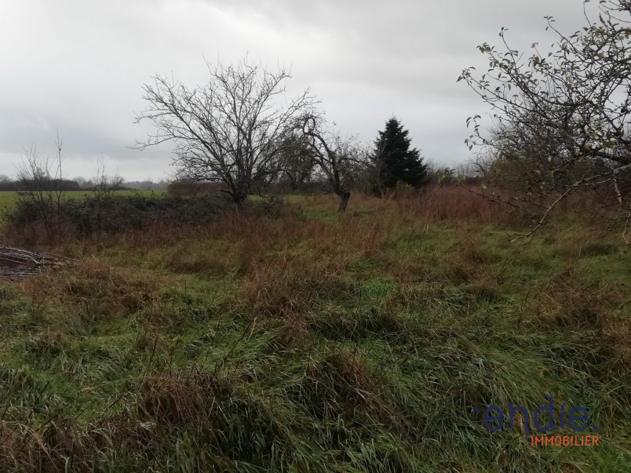 à vendre Longere Mornay Sur Allier - Photo 12