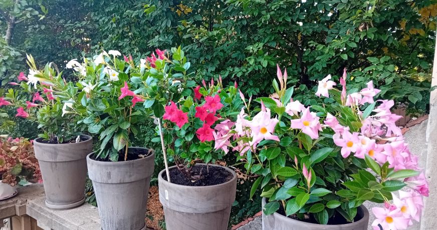 vente Maison Moulins