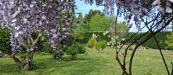 vente Maison Saint Sauvier