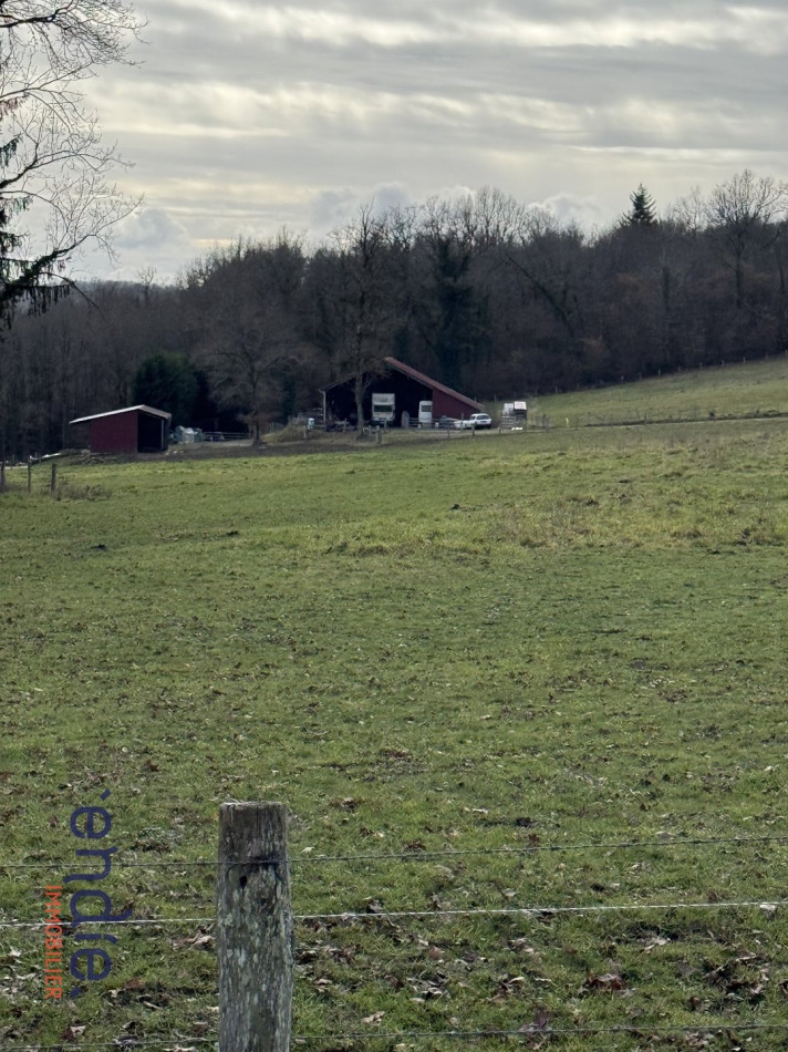 à vendre Terrain agricole Chaillac Sur Vienne - Photo 1