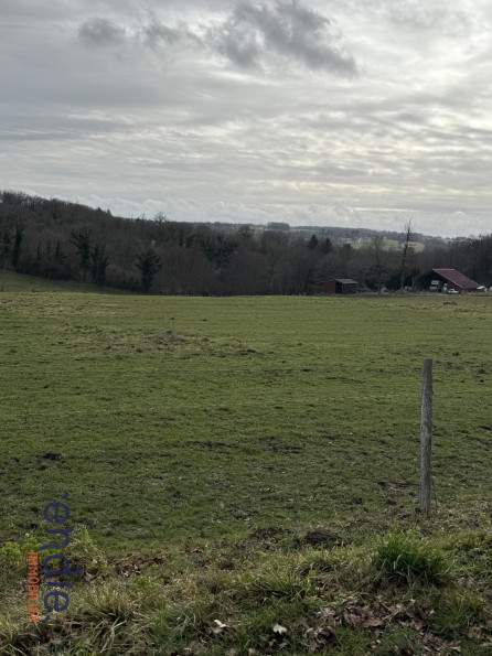 vente Terrain agricole Chaillac Sur Vienne - Photo 2