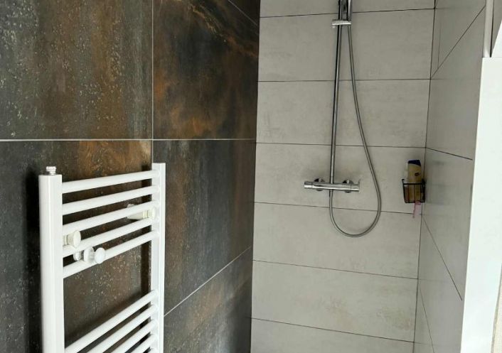 à vendre Maison Thiel Sur Acolin