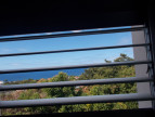 vente Appartement Basse Terre