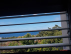 vente Appartement Basse Terre