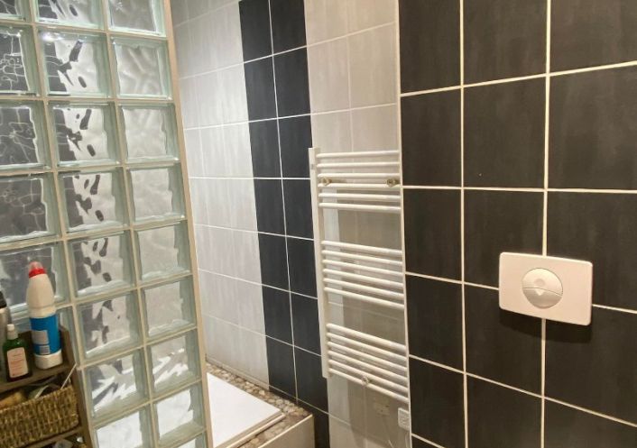 à vendre Maison Thiel Sur Acolin