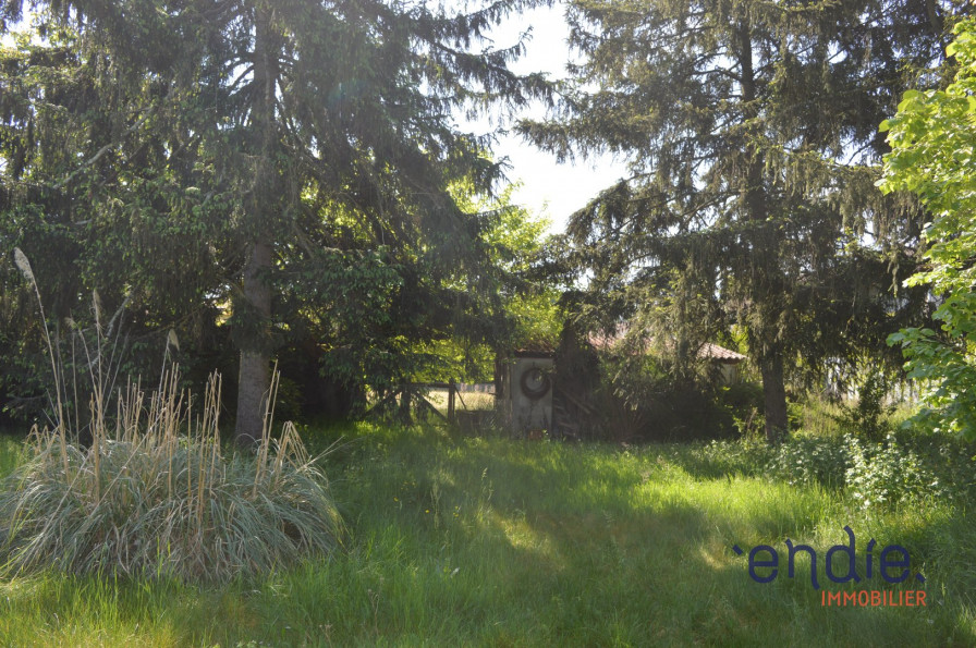 vente Maison à rénover Guereins - Photo 4