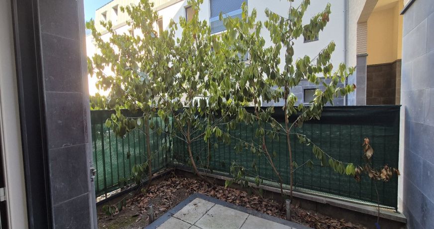 vente Appartement Bezons