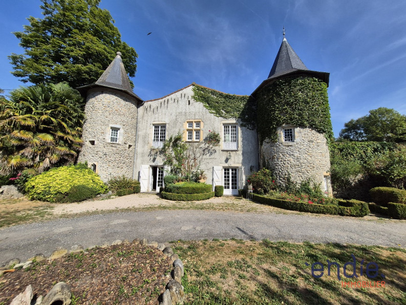 vente Château Labroquere - Photo 1