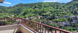 vente Duplex Thiers