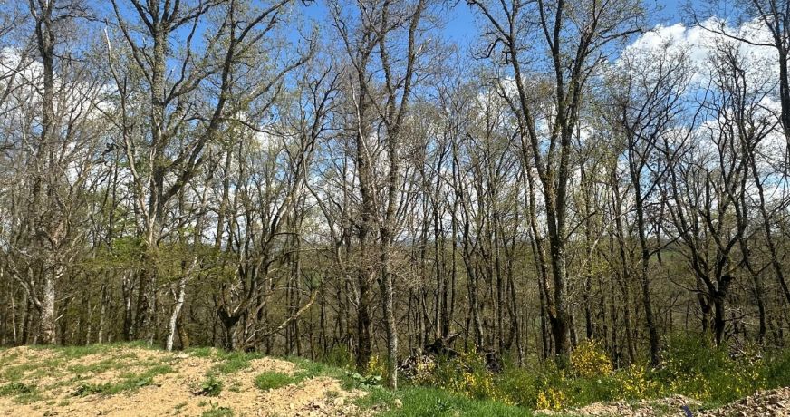vente Terrain boisé – forêt Saint Pierre Le Chastel