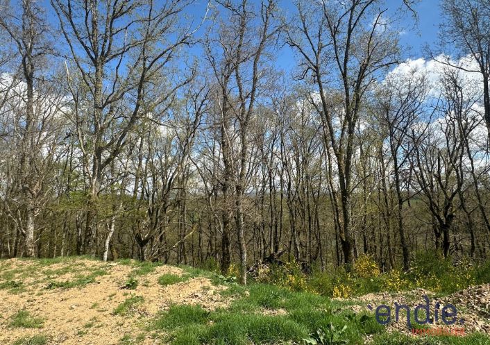 à vendre Terrain boisé – forêt Saint Pierre Le Chastel