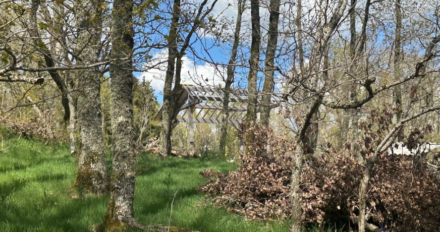 vente Terrain boisé – forêt Saint Pierre Le Chastel