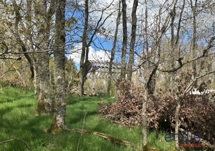 à vendre Terrain boisé – forêt Saint Pierre Le Chastel