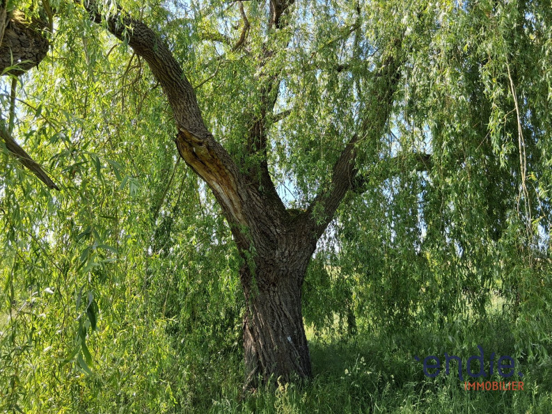 vente Maison Couleuvre - Photo 2