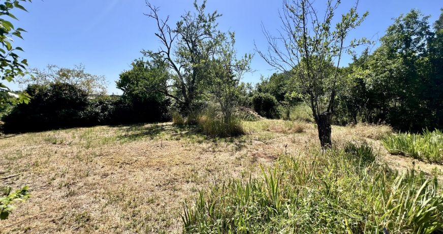 vente Maison Vivonne