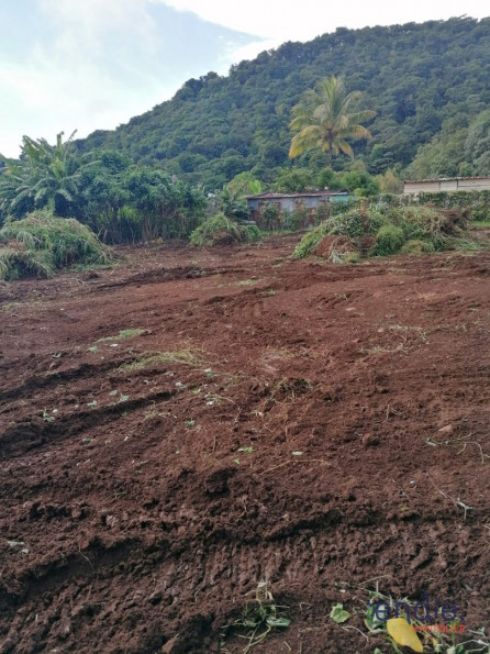 vente Terrain Gourbeyre - Photo 1