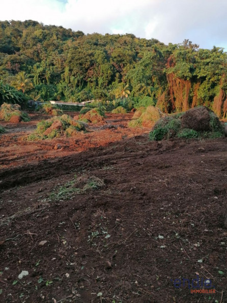 vente Terrain Gourbeyre - Photo 2
