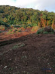 vente Terrain Gourbeyre