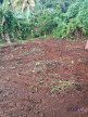 vente Terrain Gourbeyre